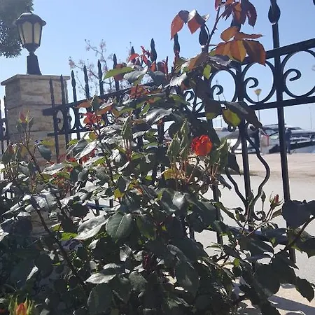 Maisonette 80 Sm In Nikitis Port